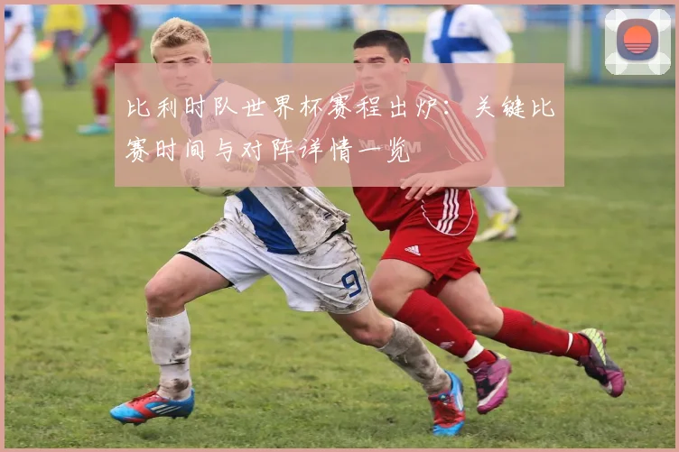 比利时队世界杯赛程出炉：关键比赛时间与对阵详情一览